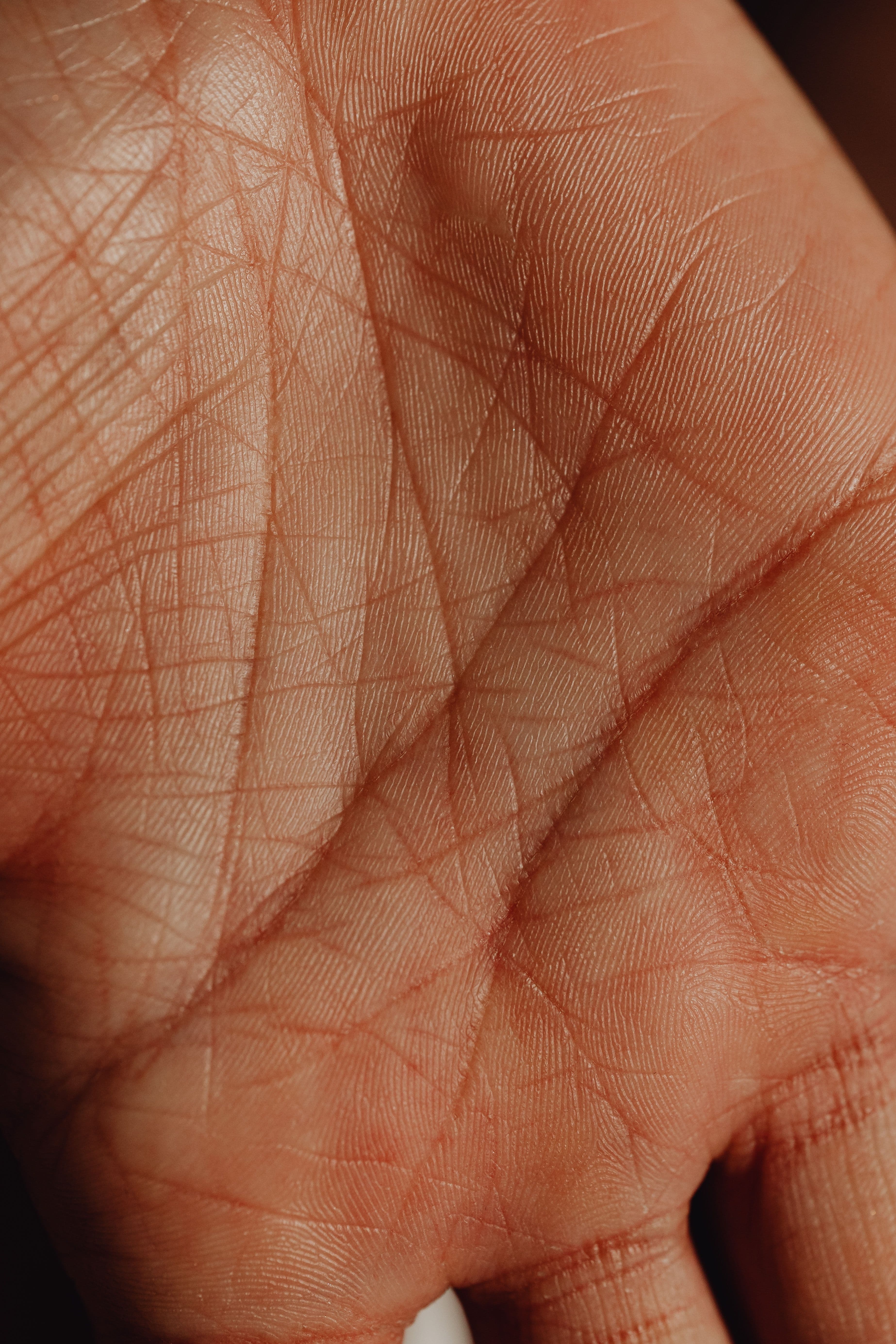 Palm reading and physical line mapping